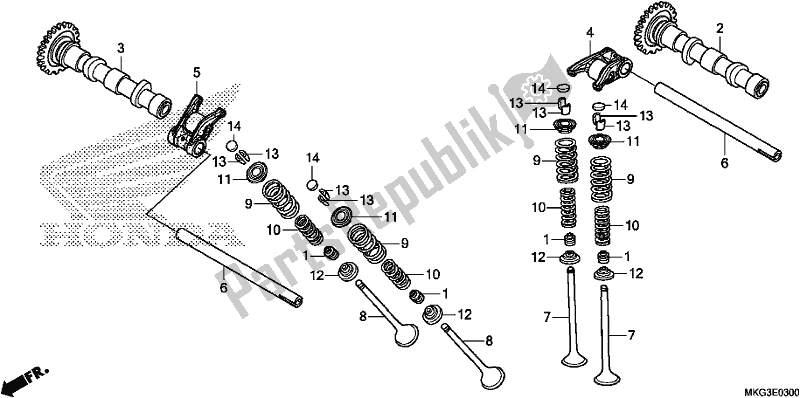 Todas as partes de árvore De Cames / Válvula do Honda CMX 500A 2018