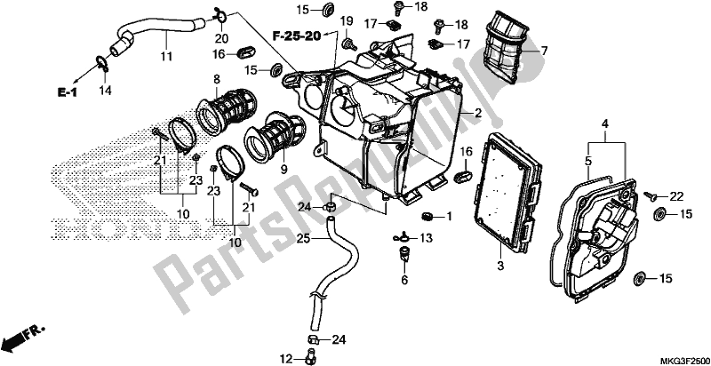 All parts for the Air Cleaner of the Honda CMX 500A 2019