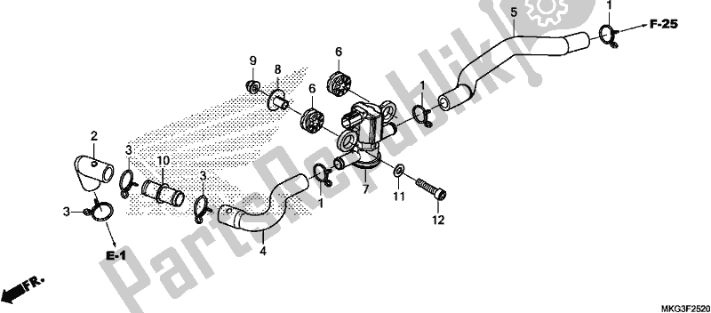 All parts for the Air Injection Solenoid Valve of the Honda CMX 500A 2019