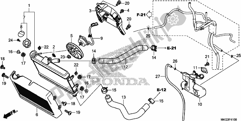 Alle onderdelen voor de Radiator van de Honda CMX 500A 2019