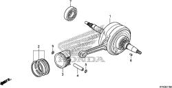 CRANKSHAFT/PISTON