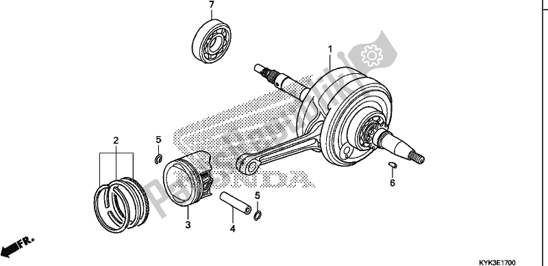 All parts for the Crankshaft/piston of the Honda CRF 110F 2019