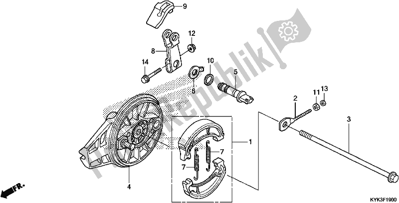 Tutte le parti per il Pannello Freno Posteriore del Honda CRF 110F 2019