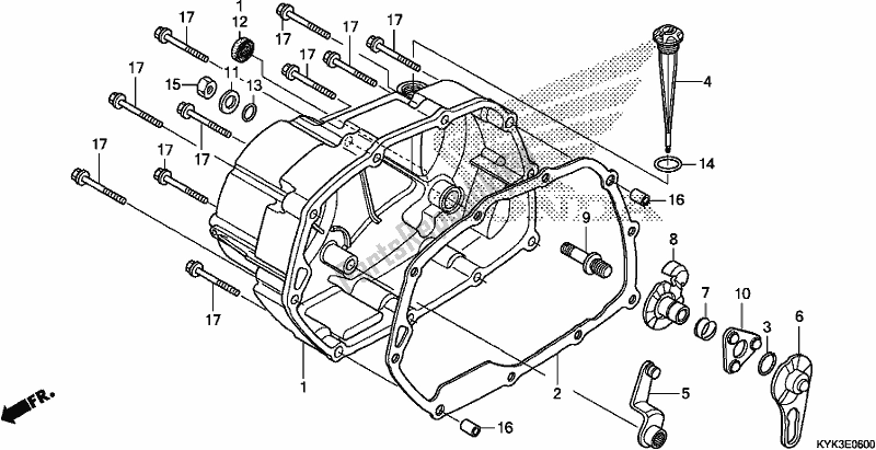 All parts for the Right Crankcase Cover of the Honda CRF 110F 2019