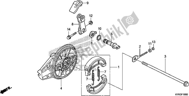 All parts for the Rear Brake Panel of the Honda CRF 110F 2020