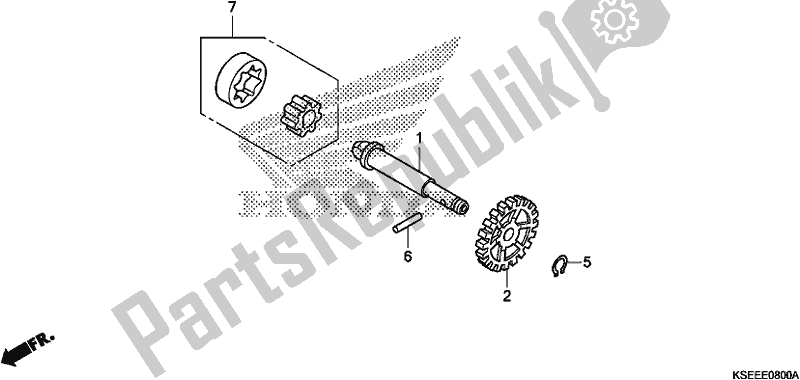 All parts for the Oil Pump of the Honda CRF 150 RB 2019