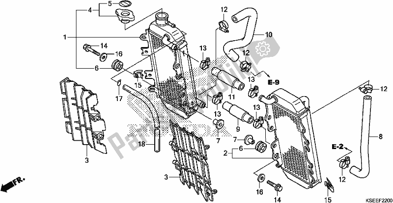 Alle onderdelen voor de Radiator van de Honda CRF 150 RB 2019
