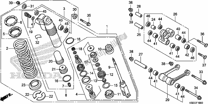 Toutes les pièces pour le Coussin Arrière du Honda CRF 150 RB 2019