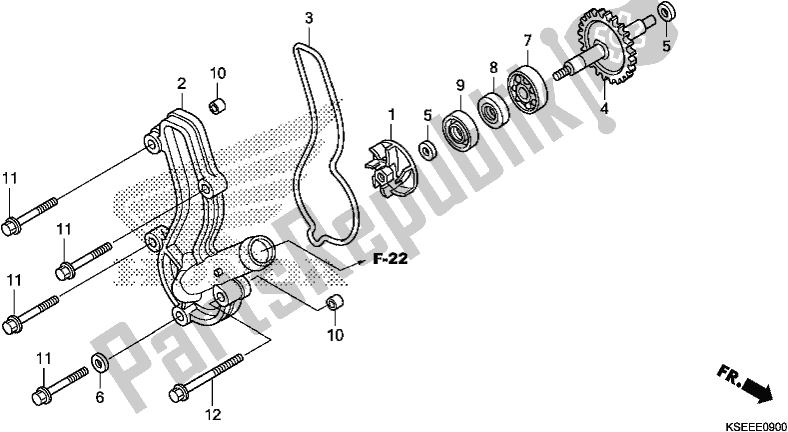 Tutte le parti per il Pompa Dell'acqua del Honda CRF 150 RB 2019