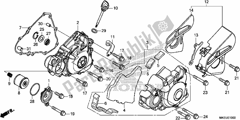 All parts for the Left Crankcase Cover of the Honda CRF 450L 2019