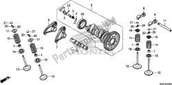 CAMSHAFT/VALVE