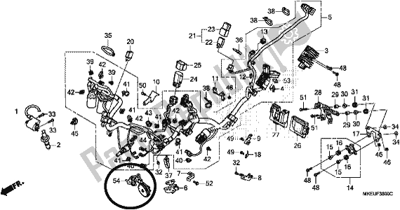 Toutes les pièces pour le Faisceau De Câbles du Honda CRF 450L 2020