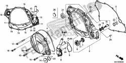 Right Crankcase Cover/water Pump