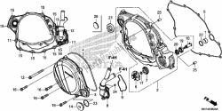 Right Crankcase Cover/water Pump