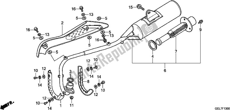 Tutte le parti per il Silenziatore Di Scarico del Honda CRF 50F 2019