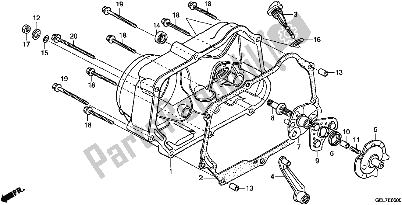 Tutte le parti per il Coperchio Carter Destro del Honda CRF 50F 2019