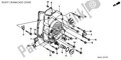 RIGHT CRANKCASE COVER