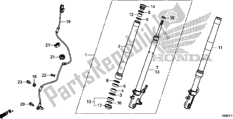 All parts for the Front Fork of the Honda MSX 125 2017