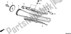 CAM CHAIN/TENSIONER