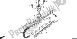 CAM CHAIN/TENSIONER