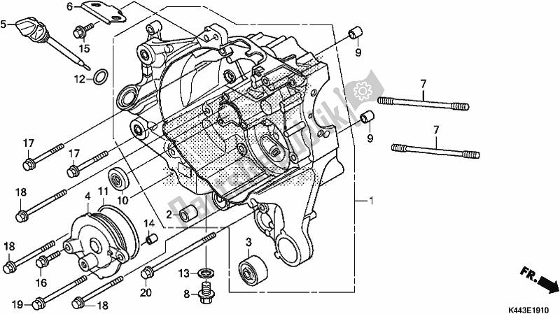 Todas las partes para Cárter Derecho de Honda NSC 110 CBF 2019
