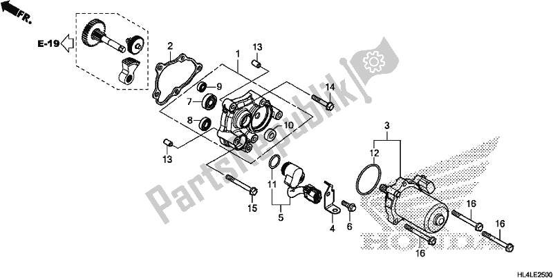 Alle onderdelen voor de Controle Motor van de Honda SXS 1000M3D Pioneer 1000 3 Seat 2020