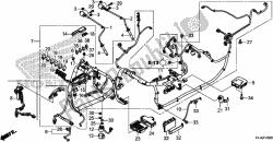 WIRE HARNESS