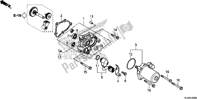Alle onderdelen voor de Controle Motor van de Honda SXS 1000M5P Pioneer 1000 5 Seat 2017