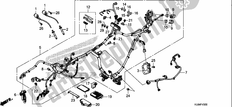 All parts for the Wire Harness of the Honda SXS 1000S2X 2019