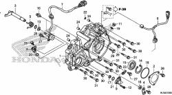 REAR CRANKCASE COVER