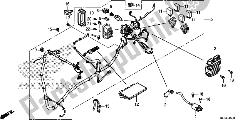 All parts for the Wire Harness of the Honda SXS 500M Pioneer 500 2019