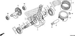 CRANKSHAFT/PISTON