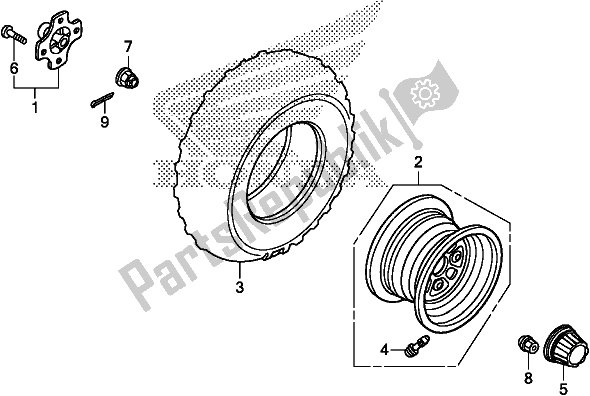 All parts for the Rear Wheel of the Honda TRX 250 TM1 2020