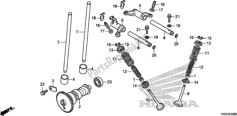 Todas las partes para árbol De Levas / Válvula de Honda TRX 420 FA1 2020