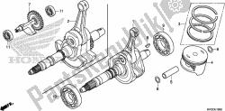 CRANKSHAFT/PISTON