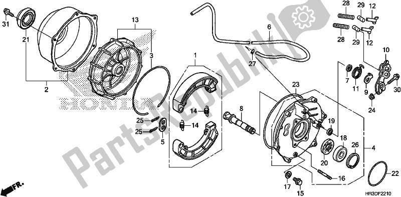 All parts for the Rear Brake Panel of the Honda TRX 420 FA2 2020