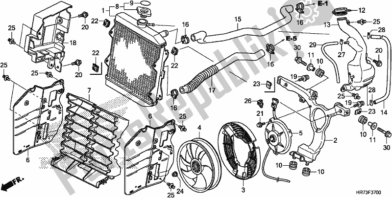 Tutte le parti per il Termosifone del Honda TRX 420 FA6 2017