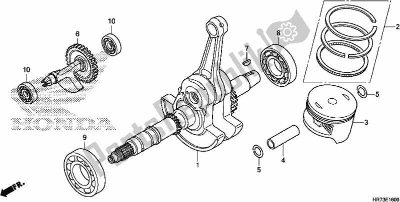 All parts for the Crankshaft/piston of the Honda TRX 420 FA6 2018