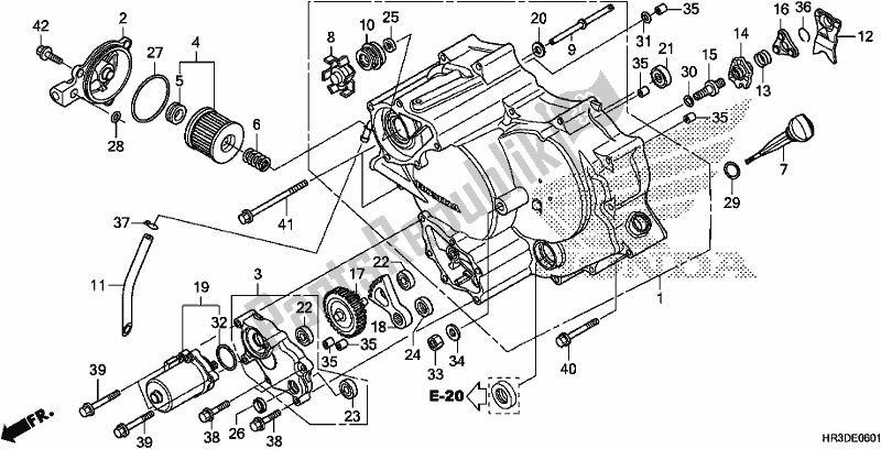 All parts for the Front Crankcase Cover of the Honda TRX 420 FE1 2020