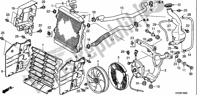 Tutte le parti per il Termosifone del Honda TRX 420 FM1 2018