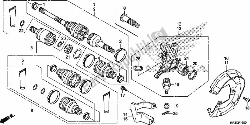 Alle onderdelen voor de Front Knuckle/front Drive Shaft van de Honda TRX 420 FM1 2019