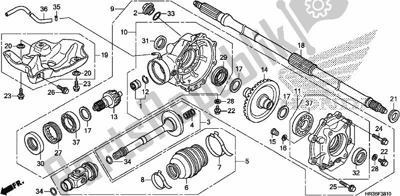 All parts for the Rear Final Gear of the Honda TRX 420 FM2 2018