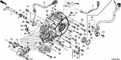 REAR CRANKCASE COVER