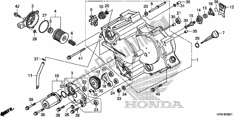 Todas las partes para Cubierta Delantera Del Cárter de Honda TRX 420 TM1 2017