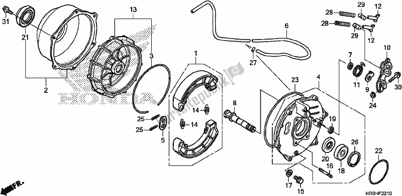 All parts for the Rear Brake Panel of the Honda TRX 420 TM1 2017