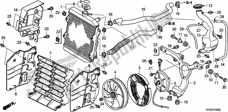 All parts for the Radiator of the Honda TRX 420 TM1 2019