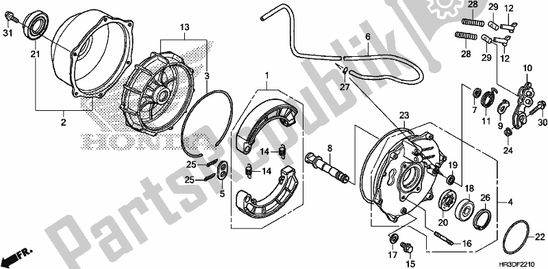 All parts for the Rear Brake Panel of the Honda TRX 420 TM1 2020