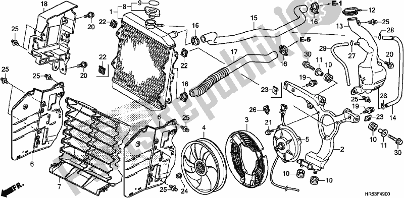 Tutte le parti per il Termosifone del Honda TRX 500 FA6 2017