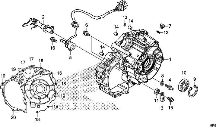 Tutte le parti per il Coperchio Del Carter Posteriore del Honda TRX 500 FA6 2017