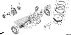 vilebrequin / piston